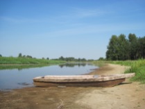 Stara łódka wyciągnięta z krzaków i przeniesiona nad brzeg.